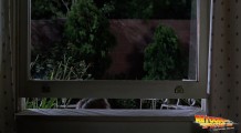 screenshot-back-to-the-future-2-053561