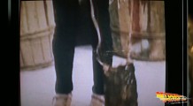 screenshot-back-to-the-future-2-073521